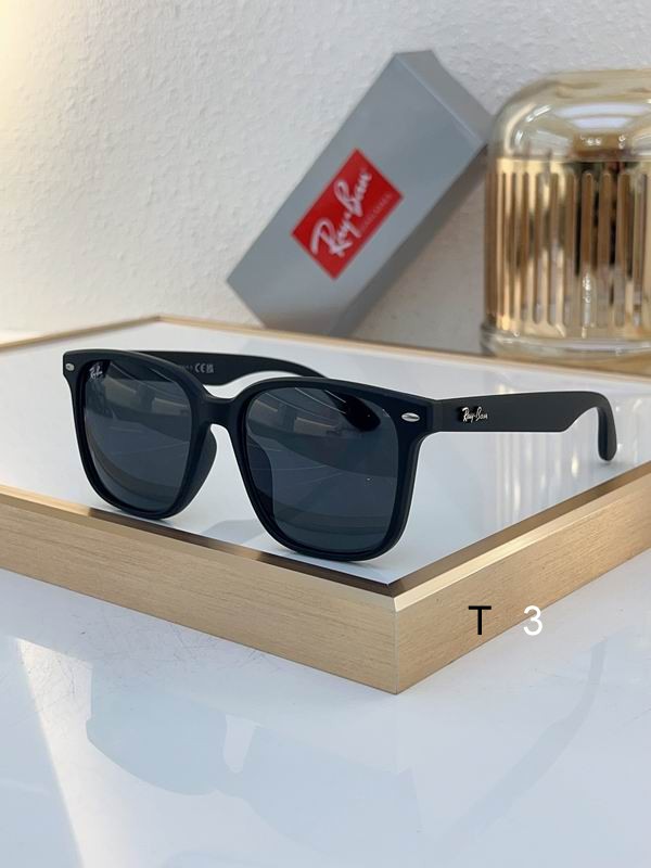 RayBan Sunglasses ID:20240804-383